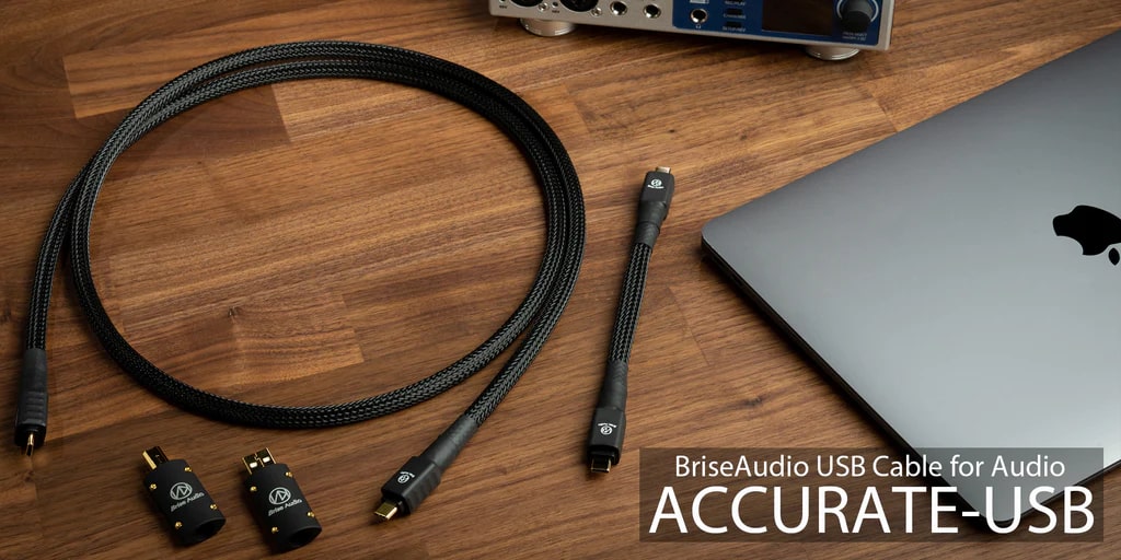 Brise Audio ACCURATE USB 17cm ( C to C )